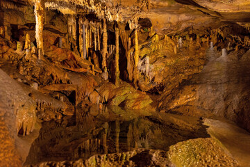 Caves of Han are a network of underground caves in Han Sur Lesse close to Rochefort, Wallonia,...