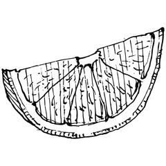 lemon isolated on white background.  Organic essential oil engraved style sketch. Beauty and spa, cosmetic ingredient. Great for label, poster, flyer, packaging