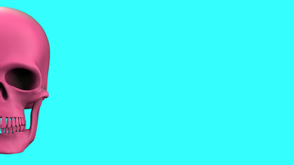 Skull full face in isolated on a blue background. 3d render pink skull