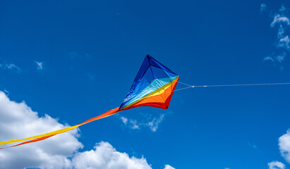 Kite on cloudy blue sky background. Under view.