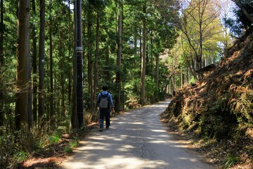 Fototapeta premium Man walking down trail path on Mount Yoshino in Nara Prefecture, Japan - 日本 奈良 吉野山 登山する男性