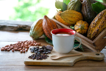 Cup of cacao drink with fresh cocoa pods, cocoa beans on wooden table, Cacao fruits which is used as raw material to make chocolate