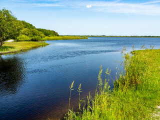Myakka River in Myakka River State Park in Sarasota Florida USA