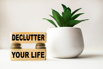 text DECLUTTER YOUR LIFE on wooden cubes, with plants, coins, and stationery items. business concept