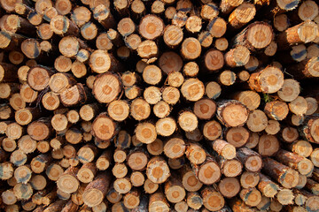 Cut down wood collected into a woodpile for later industrial use