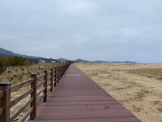 Obraz premium path to the beach
