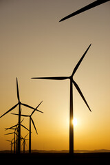 Fototapeta premium Wind turbines for electric production