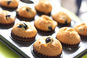 Fresh baked blueberry muffins in baking mold with selective focus.