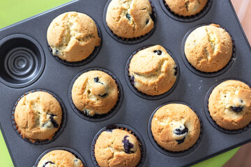 Fresh baked blueberry muffins in top view in baking mold.