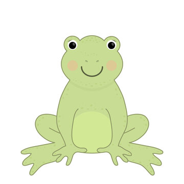 Cute frog. Vector illustration.