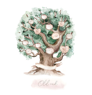 Watercolor Genealogical Family tree. Watercolor children's tree botanical season isolated illustration. olive, oak and cypress. Green forest ecology branch and leaves.