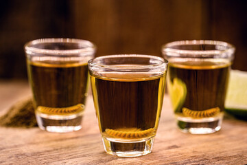 Shot of mezcal with pepper salt and agave larva, Mexican drink