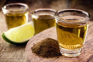 exotic Mexican drink called Mezcal, with pepper salt and earthworm, rare Mexican drink