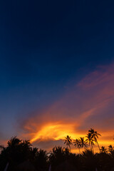 Silhuetas de coqueiros no pôr do sol