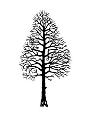Vector tree silhouette.