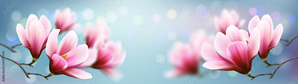 Poster nature background with beautiful magnolia branches on sky. vector.