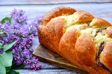 Traditional  easter  bread cake with  sugar,chocolate and nuts and  spring bloom 