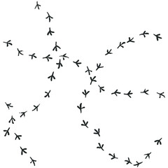 Seamless vector pattern of a dove bird footprints