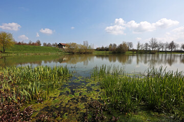 Quiet lake on a clear sunny day