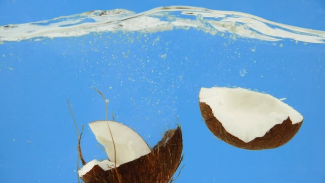Coconut falling into a water with splashes isolated on blue background