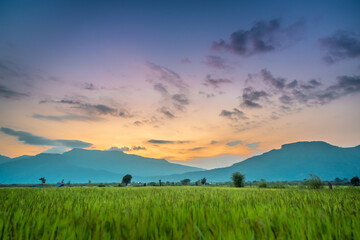 Obraz premium Beautiful view and many star in the sky at champasak, Laos