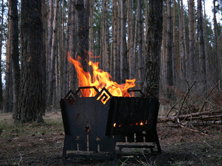 warm fireplace with lots of trees ready for barbecue