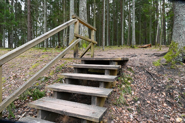Nature trails wooden stairs in the woods leading up the hill in spring.