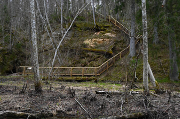 Nature trails wooden stairs in the woods leading down from the hill in the spring.