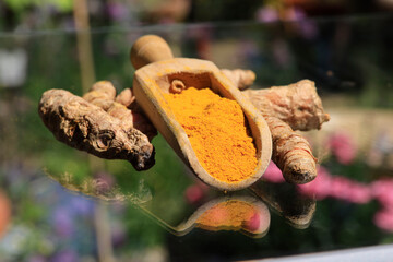 Turmeric powder (Kurkuma) in a wooden spoon and roots