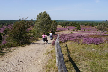 Lüneburger Heide