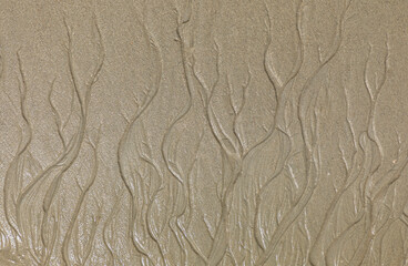 pattern in the sand looks like an orientalic structure