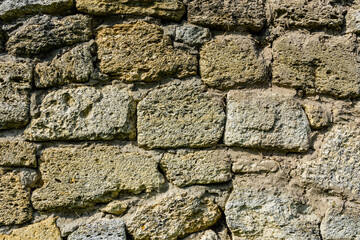 Texture of the shell rock limestone bricks for background. Natural pattern