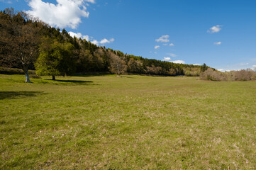 green field with wood in background under a blue sky with small clouds