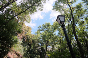 A Beautiful Lamp Post in the Woods. Low angle view