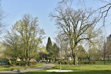 Le parc Albert à Schaerbeek sous un ciel bleu au début du printemps 