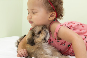 1 year old cat playing with puppy dog.