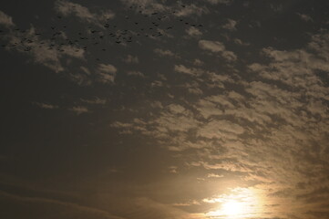Various transitions of sky and colors for background use for photo editors.  