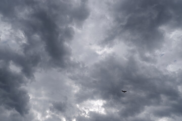 Various transitions of sky and colors for background use for photo editors.  