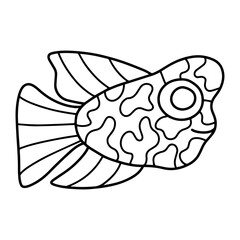 Flowerhorn cichlids fish linear hand-drawn stock vector illustration. Exotic aquarium fish black outline white isolated. Exotic fish coloring page for kids printable page
