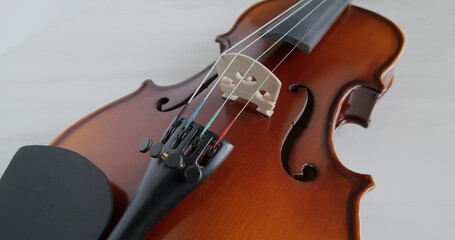 Violin string and bridge close up
