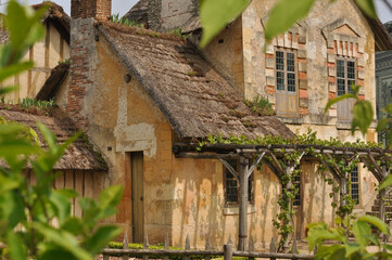 Architecture & Flowers