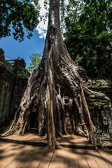 Ancient Buddhist Temple in Asia