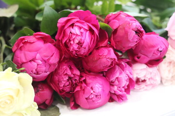 Fototapeta premium bouquet of pink piones