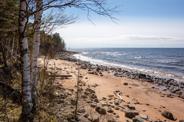 Seaside view in Liepupe with lot of stones at the Baltic sea in May in Latvia