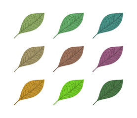 Various of leaves icons. Colorful Leaves on white background. Ecology. Vector illustration.