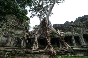 Ancient Buddhist Temple in Asia