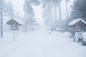 During the heavy snowy winter in Biei, Hokkaido, Japan, you can only see the torii gates on both sides of the road, and the shrines in the distance are no longer visible.