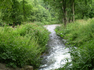 a river in Czech countryside
