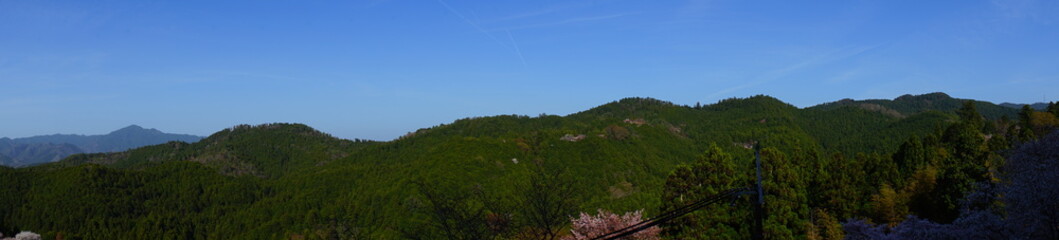 Fototapeta na wymiar Panoramic view of Yoshino-yama mountain range, spring fresh green Cedar (Yoshino-sugi), in Nara prefecture, Japan - 吉野杉 吉野山 日本 奈良 パノラマ