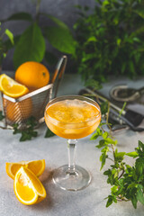Champagne coupe glass of refreshing orange cocktail with ice served on gray table surface surround of orange fruit and different green plants